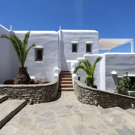 Paros Butterfly