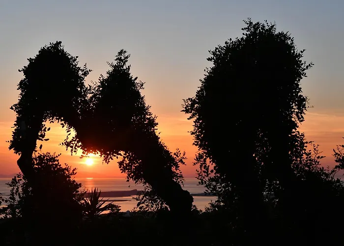 Paros Butterfly アパート Pounda