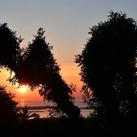 Paros Butterfly Апартаменты Пунда