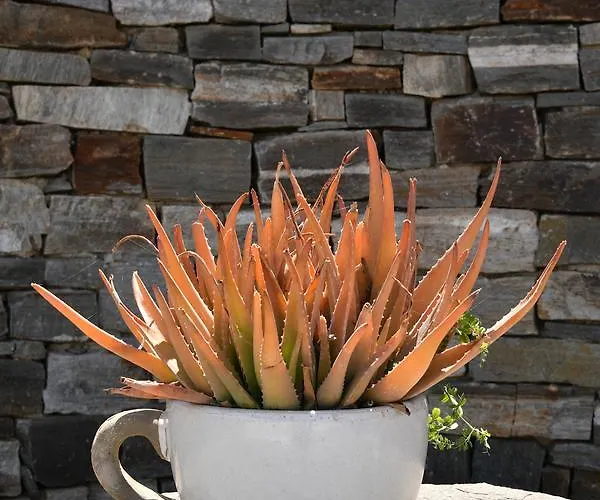 Paros Butterfly Apartamento